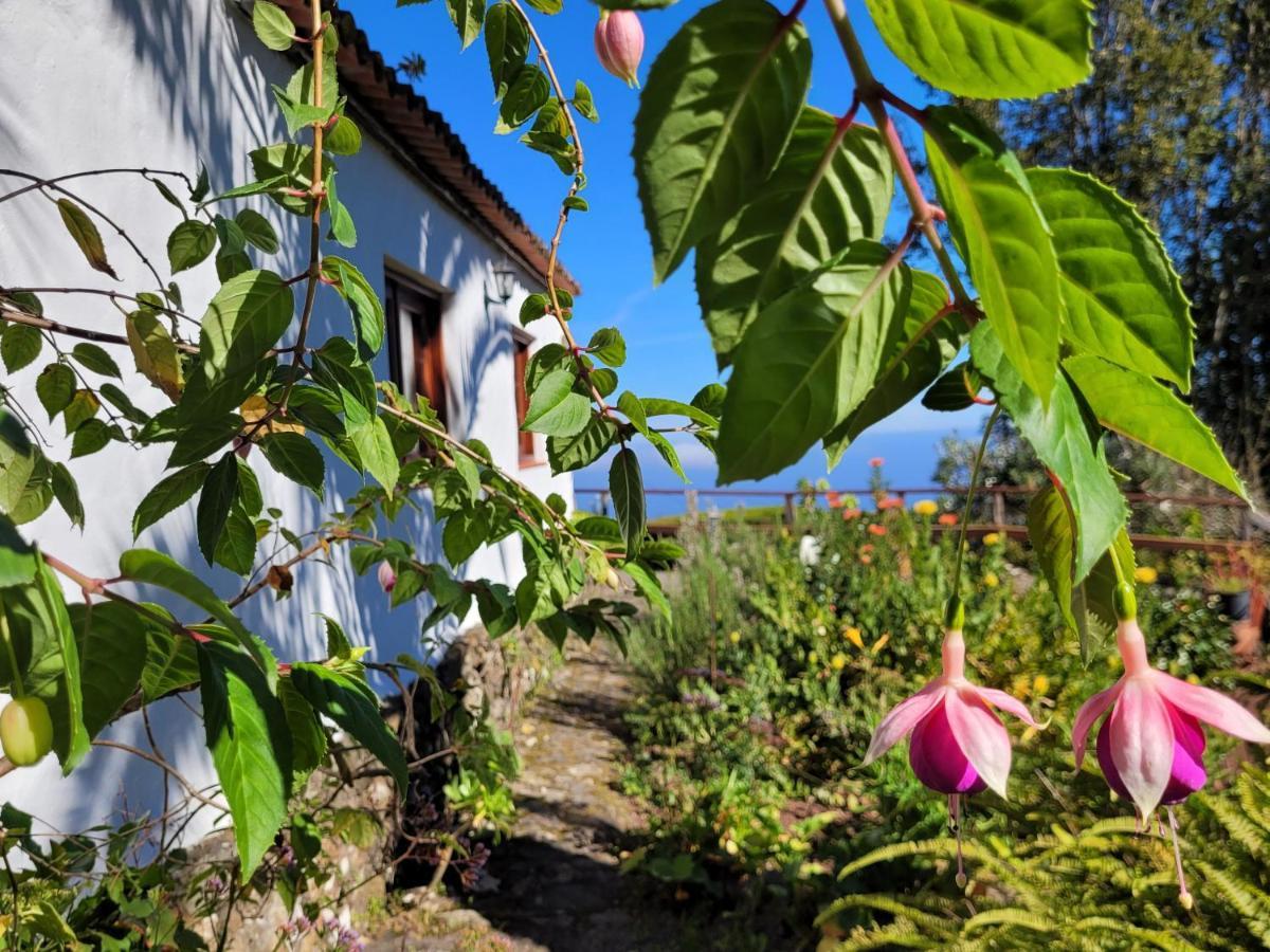 Finca Llano De La Cebolla Икод-де-лос-Винос Экстерьер фото