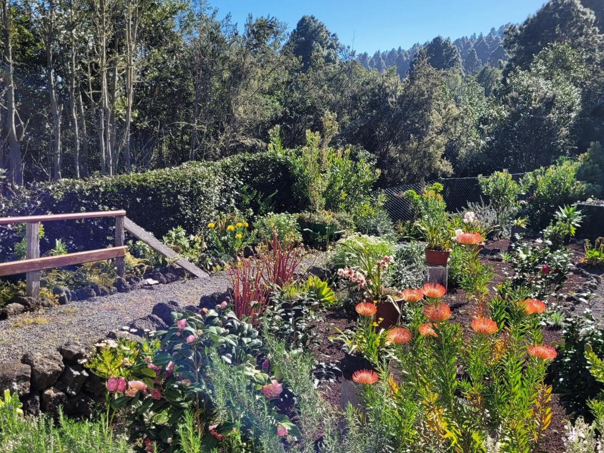 Finca Llano De La Cebolla Икод-де-лос-Винос Экстерьер фото