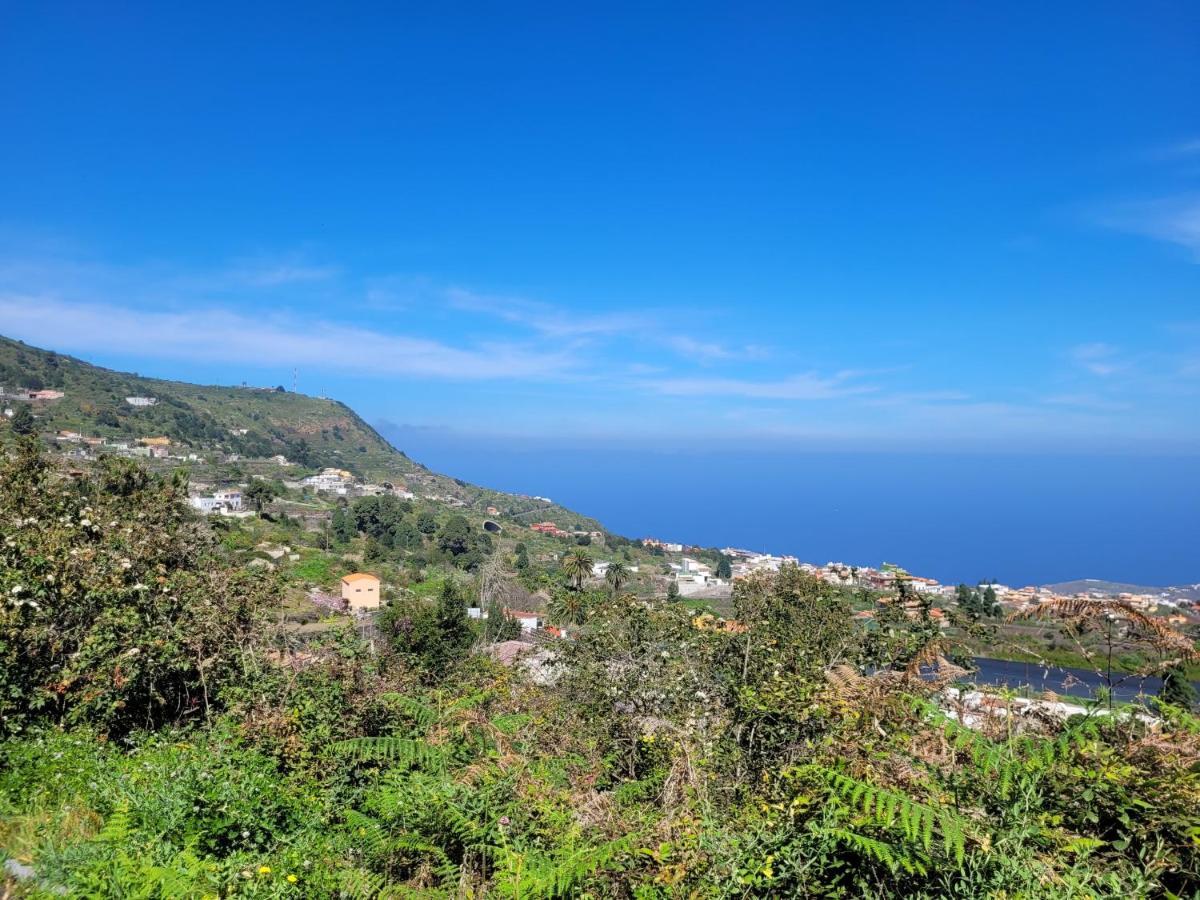 Finca Llano De La Cebolla Икод-де-лос-Винос Экстерьер фото